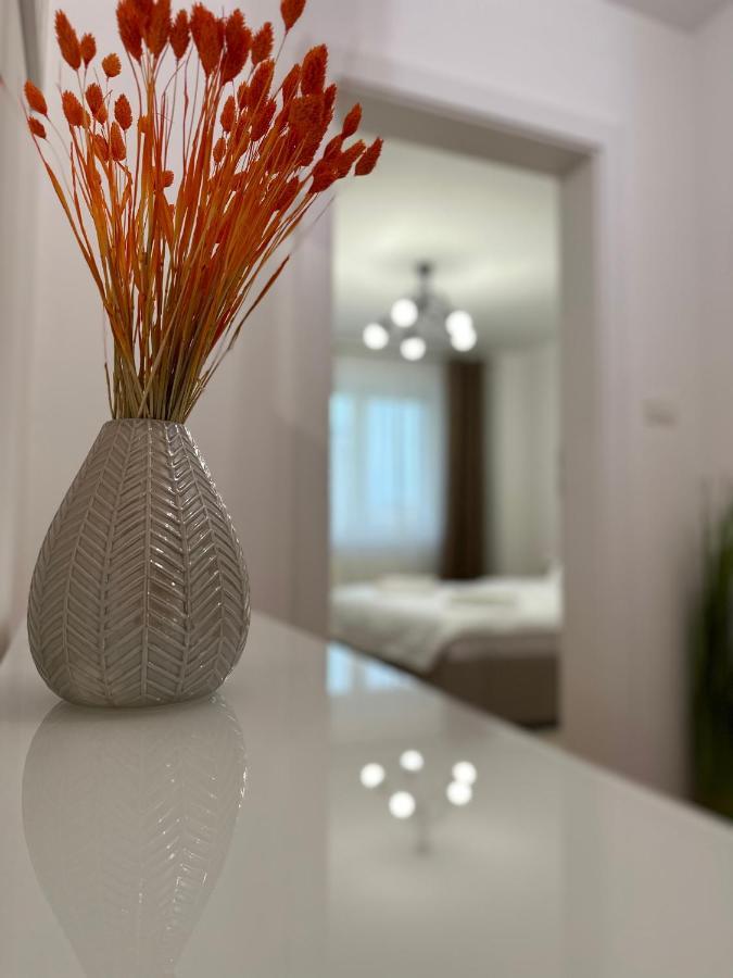 Esi Apartments #Central With Garage Тімішоара Екстер'єр фото